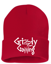 Load image into Gallery viewer, Grizzly Gaming Beanie
